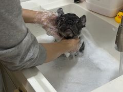 -爪爪喵星球·猫舍(前海卓越店)