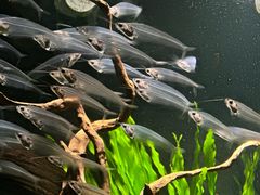 -太平洋海底世界