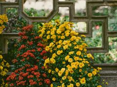 -杭州植物园