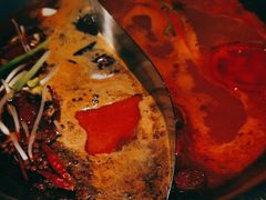 -辣伍鲜毛肚老火锅(元一店)