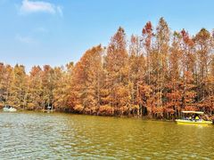 -上海海湾国家森林公园