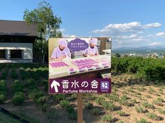 -富田农场