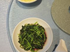 -上海宝华喜来登酒店·采悦轩中餐厅