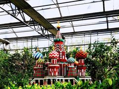 -南宫五洲植物乐园