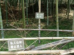 -宁波浙东大竹海景区