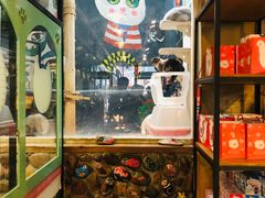 -猫咪博物馆(顶澳仔猫街店)