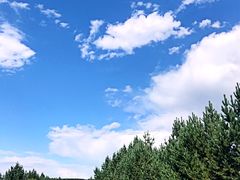 -塞罕坝国家级自然保护区