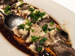 香葱碧绿蒸黑头鱼-怡情荟•海鲜青岛菜(五四广场旗舰店)