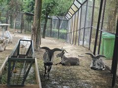 -青藏高原野生动物园