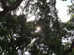 -烟桥古村