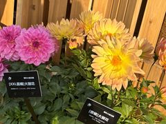 -上海植物园-4号门售票处