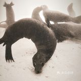成都展览ㄧ国家地理经典摄影大展–西南首展