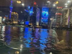 -黄浦江游览快线(金陵东路码头)