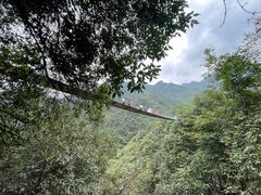 -遂昌金矿国家矿山公园