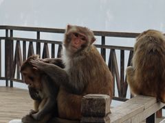 -重庆云阳龙缸景区