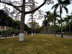 -厦门大学(思明校区)
