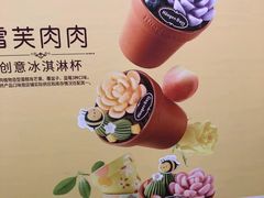 -哈根达斯(华星店)