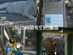 -郑州市动物园