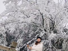 -宝鼎风景区