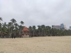 -东郊椰林