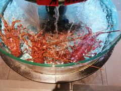 -强记海鲜·大排档(蛇口新街店)