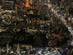-六本木新城展望台(东京城市景观)