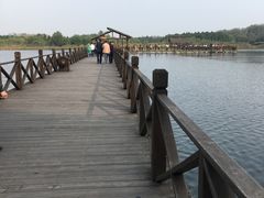 -溱湖国家湿地公园