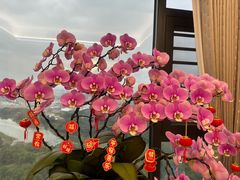 -深圳万象城