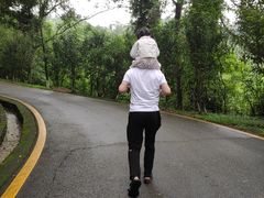 -分塔山省级森林公园