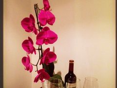 -红墙花园酒店