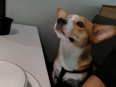 -潮发潮汕牛肉店(龙洞店)