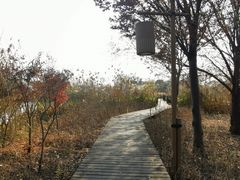 -梁鸿国家湿地公园