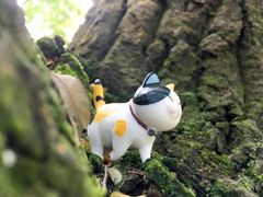 -广州市流溪河国家森林公园