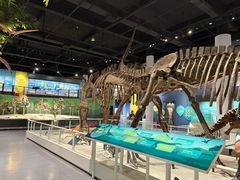 -国家自然博物馆