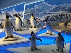 -贝林大翅鲸简餐厅(国家海洋博物馆店)