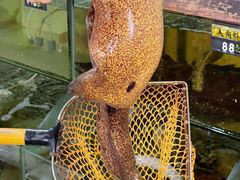 -岛中岛·海鲜大排档·万宁老字号(东澳店)