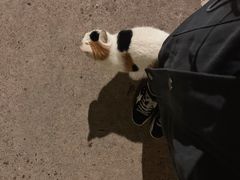 -长安大学(北校区)