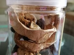-蘑统田下·野生菌火锅