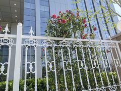 -天津医科大学肿瘤医院(本部院区)