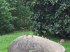 -四里河滨水生态公园