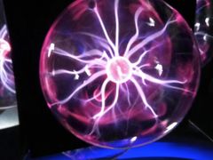 -陕西自然博物馆