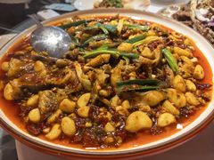 -巴特餐饮6加1音乐餐吧·新疆菜