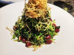 巧拌豆苗-真地道京味府·鲜橙烤鸭·北京菜(朝外大街东大桥店)