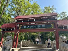 -原山国家森林公园