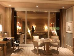 -拉斯维加斯永利酒店