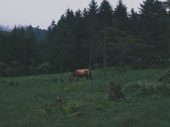 -硗碛藏寨·神木垒景区