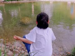 -武清南湖绿博园