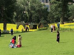 -长白岛森林公园