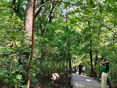 -吉林市朱雀山国家森林公园