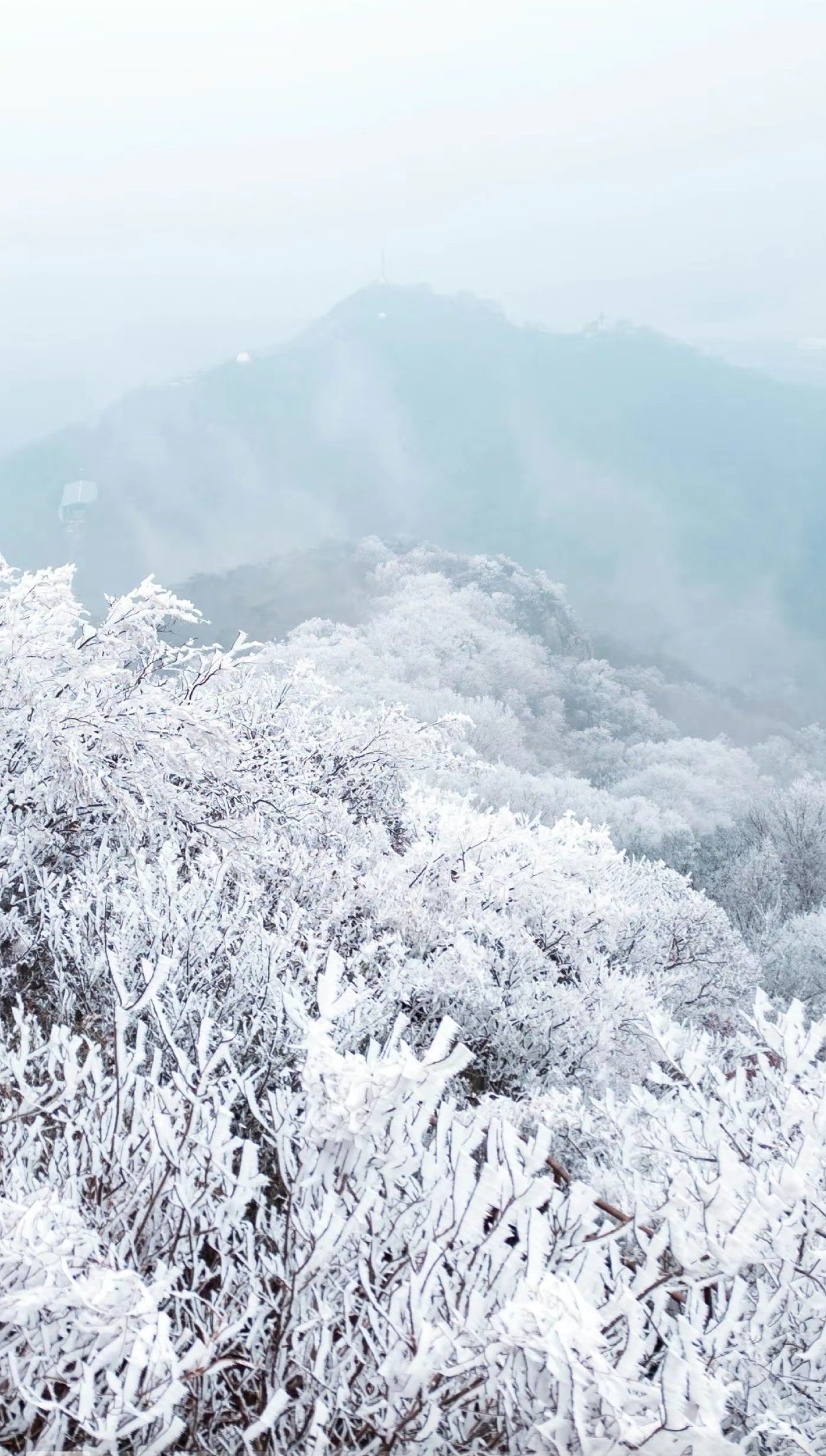 南京雪景紫金山图片